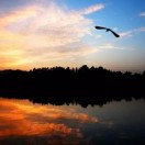 石大金灿灿 头像