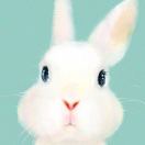 索娜若玛尔 头像