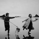 世本常态. 头像