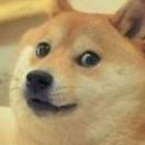 🌹家和万事兴🌹 头像