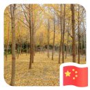 勇敢&&自由 头像