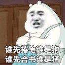 S.t 头像