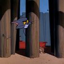 窗口-风景 头像