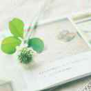 tusib7aae8139e 头像