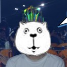 逗比不会飞了 头像