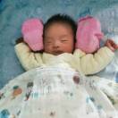 算了，胖不了[旺柴] 头像