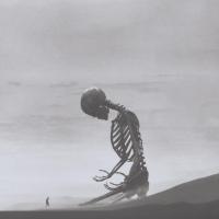 拼一个春夏秋冬，愿一生无怨无悔 头像