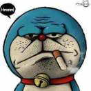 羡慕南飞的燕 头像