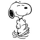 ~~~字符不动~~~ 头像