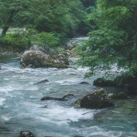 王大发3316 头像