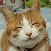 发誓不熬夜404 头像