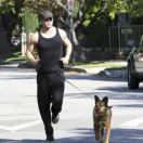 金翅大鹏雕 头像