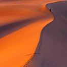 达拉然の光 头像