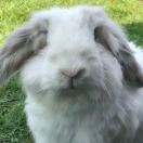 🐰茆筱沐 头像