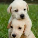 也许是个意外 头像