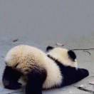 年少 头像