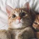 never  say  never 头像