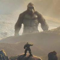 爬楼梯的小怪 头像