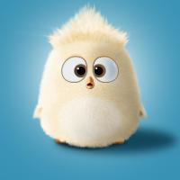 小池塘两条鱼 头像