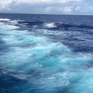 心动，行动，跳动 头像