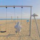 晴十ハ       ๑ 头像