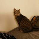 Macro .桑田 头像