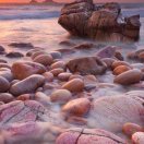 梦归游子意 头像