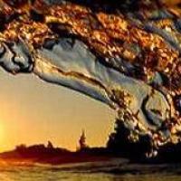 misschildhood 头像