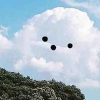 穿裤子的云 头像