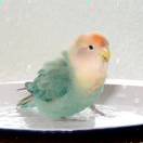 被小时候的自己萌化了Σ(|||▽||| ) 头像