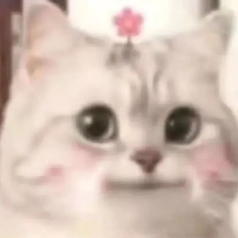 天空为伊晴 头像