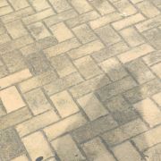 懒惰小咸鱼 头像