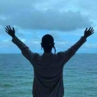 进击的鱼儿 头像