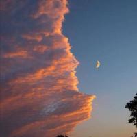 15岁的架构师 头像