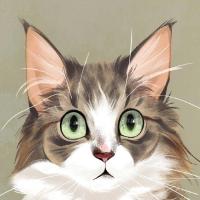 是小白么么哒啊 头像