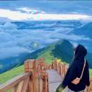 🍃 蛐蛐儿 头像