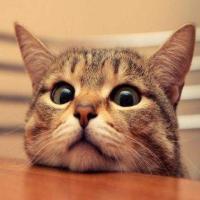 大叔不要跑 头像