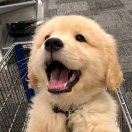 进城务工の小刘 头像