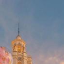 曹芹芹5Gⁿ 头像