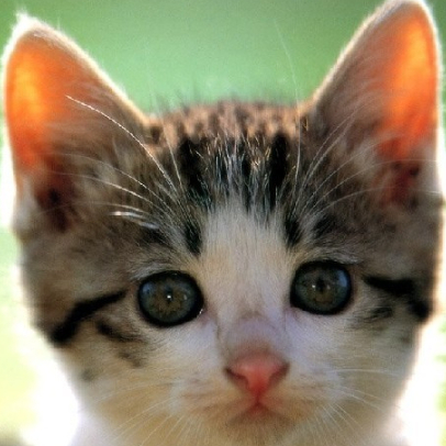 妳喜欢梅西麽 头像