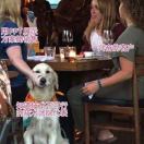 徐@格物※ 头像