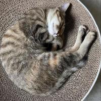 发发发大财 头像