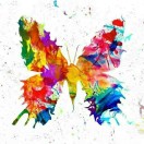 Broken wings,flying heart 头像