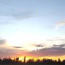 哪里那么多为什么 头像