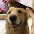 咖啡大橘子 头像