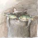 螺旋上升的禅翼-摄影师 头像