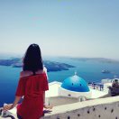 紫马『燕红』 头像