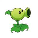      头像