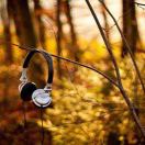 什么冬梅啊 头像