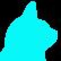 不爱吃鱼的猫 头像